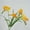 X, variant on Vibrant Artificial Freesia Flowers - 3-Pack Lifelike Plastic Plants for Home and Holiday Decor