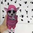 thumbnail image 3 of Standing Dog Figurine With Pink Hoodie And Knit Beanie - Cute Decorative Sculpture For Home, Office, Living Room, Bedroom - Ideal Gift For Dog Lovers, Animal Enthusiasts,, 3 of 3