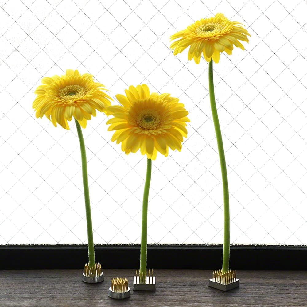 Wazakura 4PCS Mini Ikebana Kenzan Japanese Flower Holder, Made in Japan, Floral Arranging Pin Frog, Round Square - 1"(24mm) Brass
