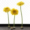 thumbnail image 5 of Wazakura 4PCS Mini Ikebana Kenzan Japanese Flower Holder, Made in Japan, Floral Arranging Pin Frog, Round Square - 1"(24mm) Brass, 5 of 5