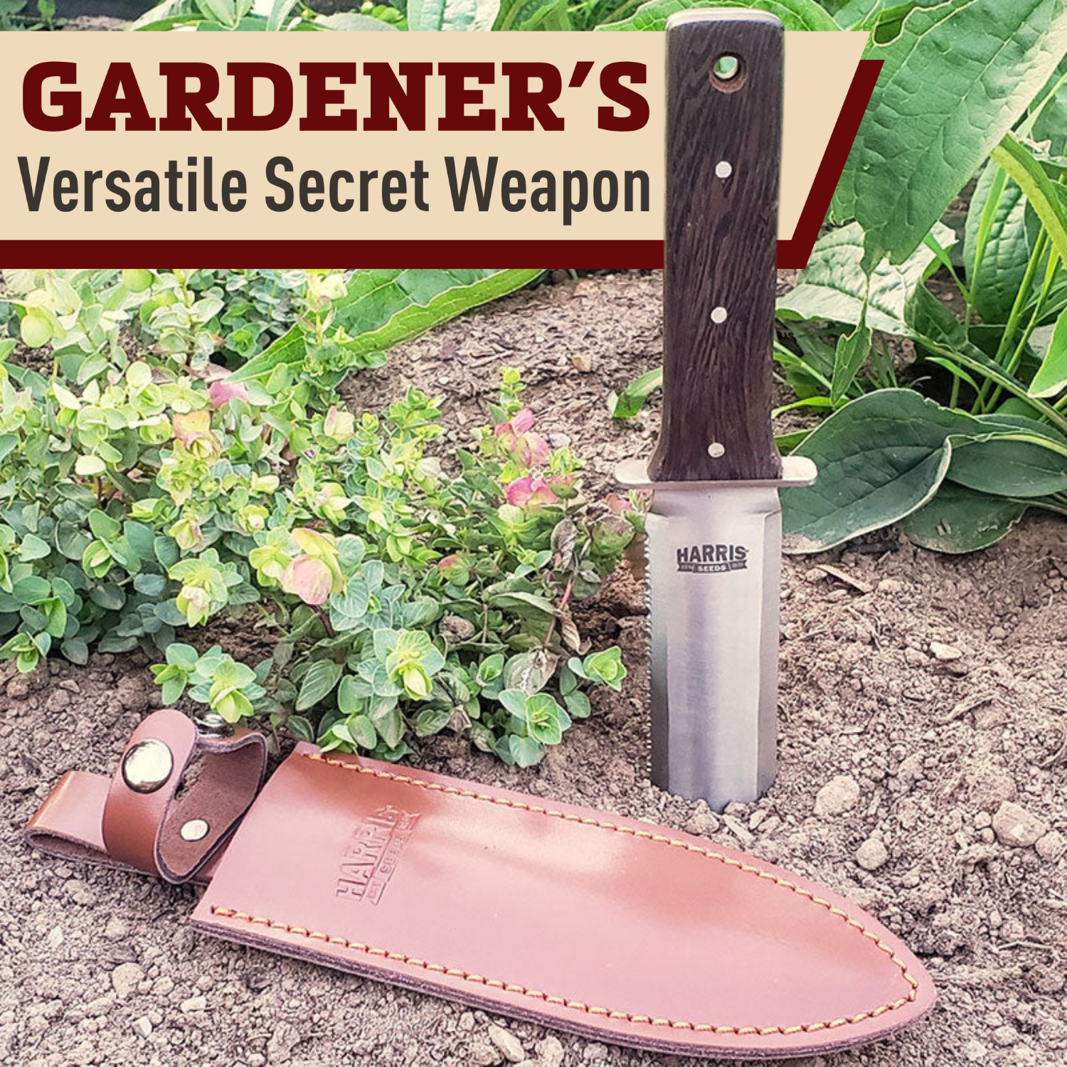 Harris Seeds Hori Knife - Thumbnail 3