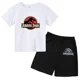 thumbnail image 2 of Conjunto de 2 piezas de camiseta y pantalones cortos con estampado de dinosaurio de Jurassic Park para niños y niñas, con estampado de dibujos animados de verano, 2 of 5