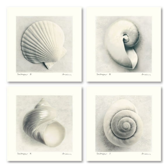 Off-White and Gray Coastal Sea Shell Adult Decor; 4 - 12" x 12" Unframed Posters