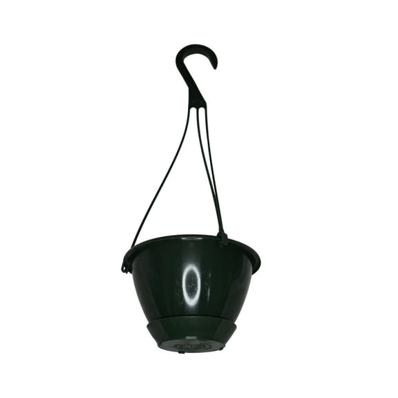 KOBA 6" Mini Dark Green Hanging Basket with Saucer, Qty. 5