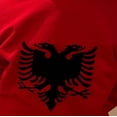 thumbnail image 5 of Cozy Unisex Hoodie, Women's Casual Stylish Pullover, Comfortable Winter Sweater, Fashionable Embroidered Hoodie, Albanian Eagle Hoodie, 5 of 5