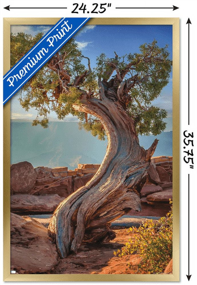 Beth Sheridan - Dead Horse Point Wall Poster, 22.375" x 34", Framed