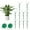 10 pcs, variant on Stackable Monstera Plant Support Stakes, For Support Stakes For Indoor Outdoor Climbing Plants Ideal, Growth Vine Training Stem Stabilization And Supporting Growth (5PCS+1Velcro )