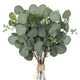 thumbnail image 1 of 24 tallos verdes de 13 pulgadas de alto, eucalipto falso con hojas falsas de dólar de plata, ramas de eucalipto con semillas artificiales para jarrones, centros de mesa, arreglos florales, decoración del hogar de la granja oso de fresa  Electrónica, 1 of 5