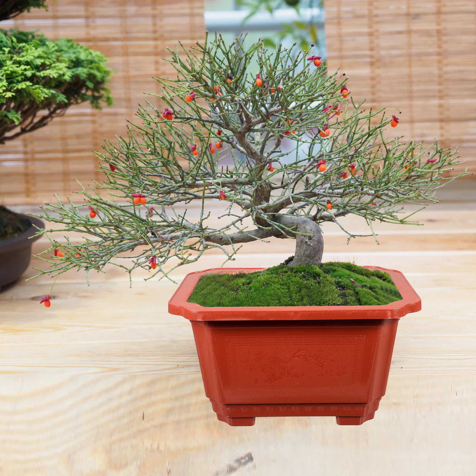 QIFULL 10Pcs Dark Red Plastic Flower Pots for Indoor Gardening Durable Bonsai Planters for Small Plants