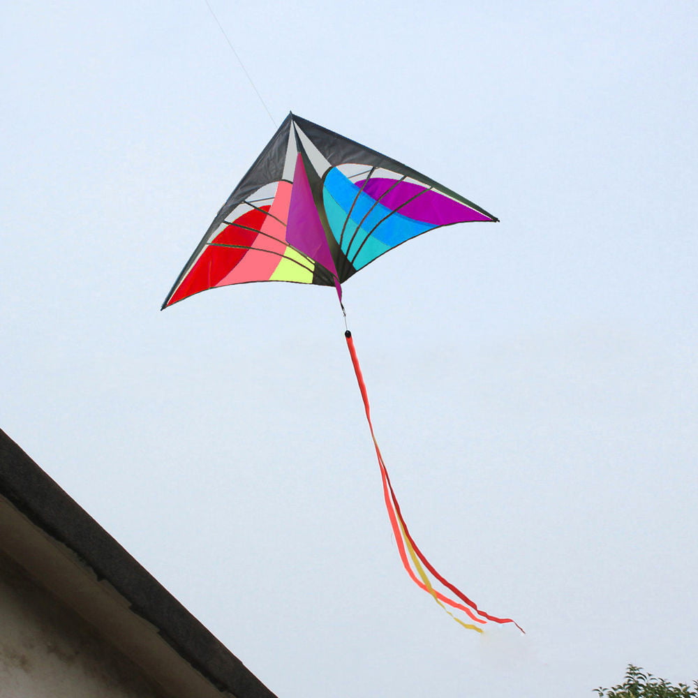 Details about   Portable Triangle Eagle Lawn Nylon Stunt  Kite  Surf   K0Z0  Toy  G5V0  Outdoor 