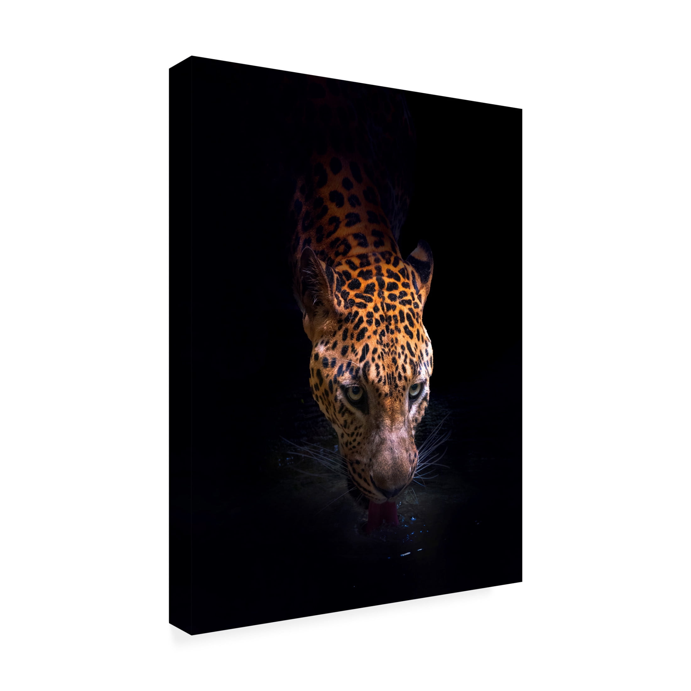 Canvas Wall Art - Antonyus Bunjamin (Abe) 'Drinking' Wall Art for Living Room, Bedroom, or Office Décor by Trademark Fine Art - 14 x 19 Inches