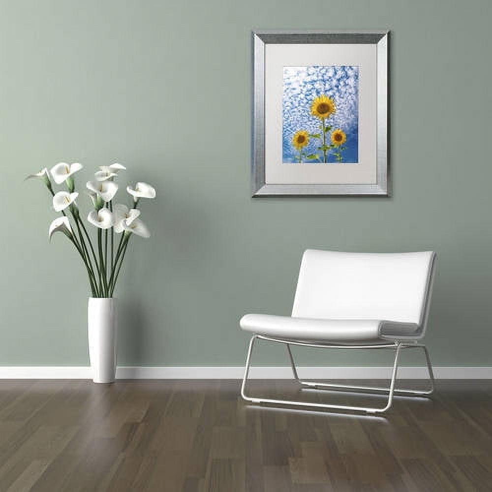 Trademark Fine Art 'Sunflower Triad' Canvas Art by Michael Blanchette Photography, White Matte, Silver Frame
