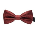 thumbnail image 4 of Cravate Formelle pour Hommes à Motif Coloré Mariage Cravate pour Hommes Adulte Homme Réunion d'Affaires Mariage Nœud Papillon en Fil de Polyester, 4 of 8