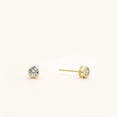 thumbnail image 3 of Lavishe 14K Gold Plated 925 Sterling Silver Cubic Zirconia Round Bezel Set Stud Earrings, 4mm Stone, 3 of 3
