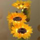 thumbnail image 5 of Sunflowers Flower Lamp Touch Lamp,Rechargeable Cordless Table Lamp, 3-Colour, 5 of 5