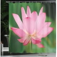 thumbnail image 4 of Ambesonne Pink and Green Shower Curtain, Lotus Lily Blossom, 69"Wx84"L, Pink and Fern Green, 4 of 5