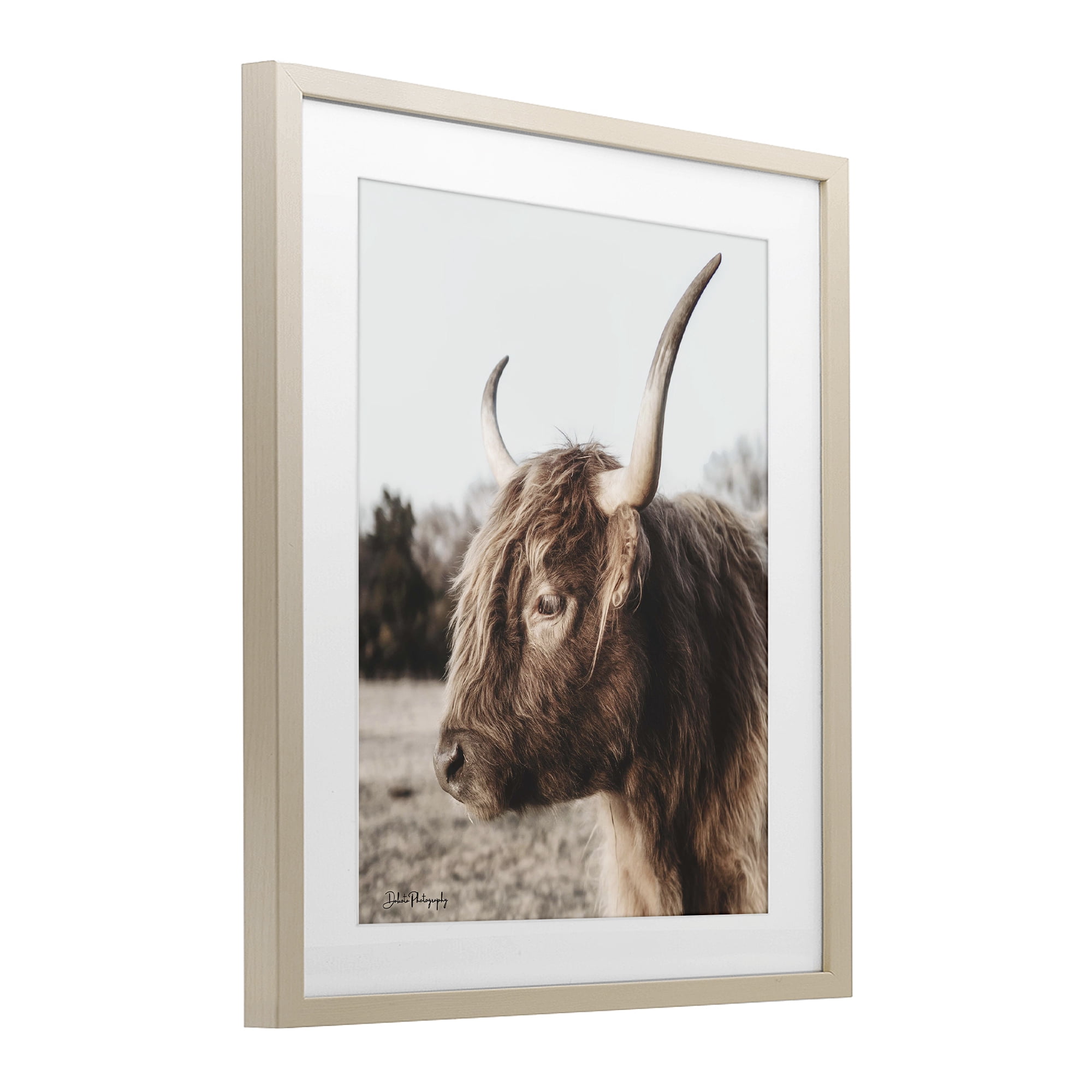 Stupell Industries Horned Cattle Peering Birch Framed Print Under Glass, design by Dakota Diener