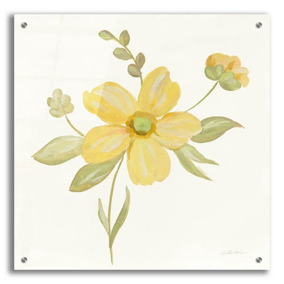 Epic Art 'June Bloom II' by Silvia Vassileva, Acrylic Glass Wall Art, 24"x24"