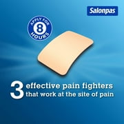 Salonpas Pain Relieving Patch - 140 Patches