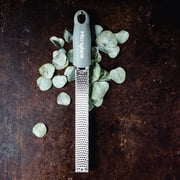 Microplane Premium Classic Zester - Eucalyptus Green, Fine