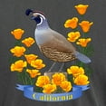 thumbnail image 3 of CafePress - California Quail & Golden Poppy Men's Comfort Colo - Mens Comfort Colors Shirt, 3 of 5