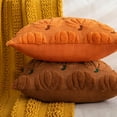 thumbnail image 2 of Pumpkin Fall Decorative Throw Pillow Covers 20"x20", Set of 2 Orange Brown Soft Faux Fur Pillow Covers for Autumn Harvest, Fluffy Plush Accent Pillow Cases for Farmhouse Halloween Decor, 2 of 15