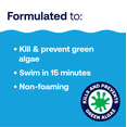 thumbnail image 3 of HTH Pool Care Algae Guard 10 for Swimming Pools, Liquid, 119oz, 3 of 7