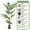 Style 01, variant on Colourtree 63" Artificial Palm Tree,Faux Areca Palm Plant with Real Touch Leaves and Adjustable Branches,Fake Tropical Palm Tree for Home Office Indoor Outdoor Modern Decoration - Pot Style 01