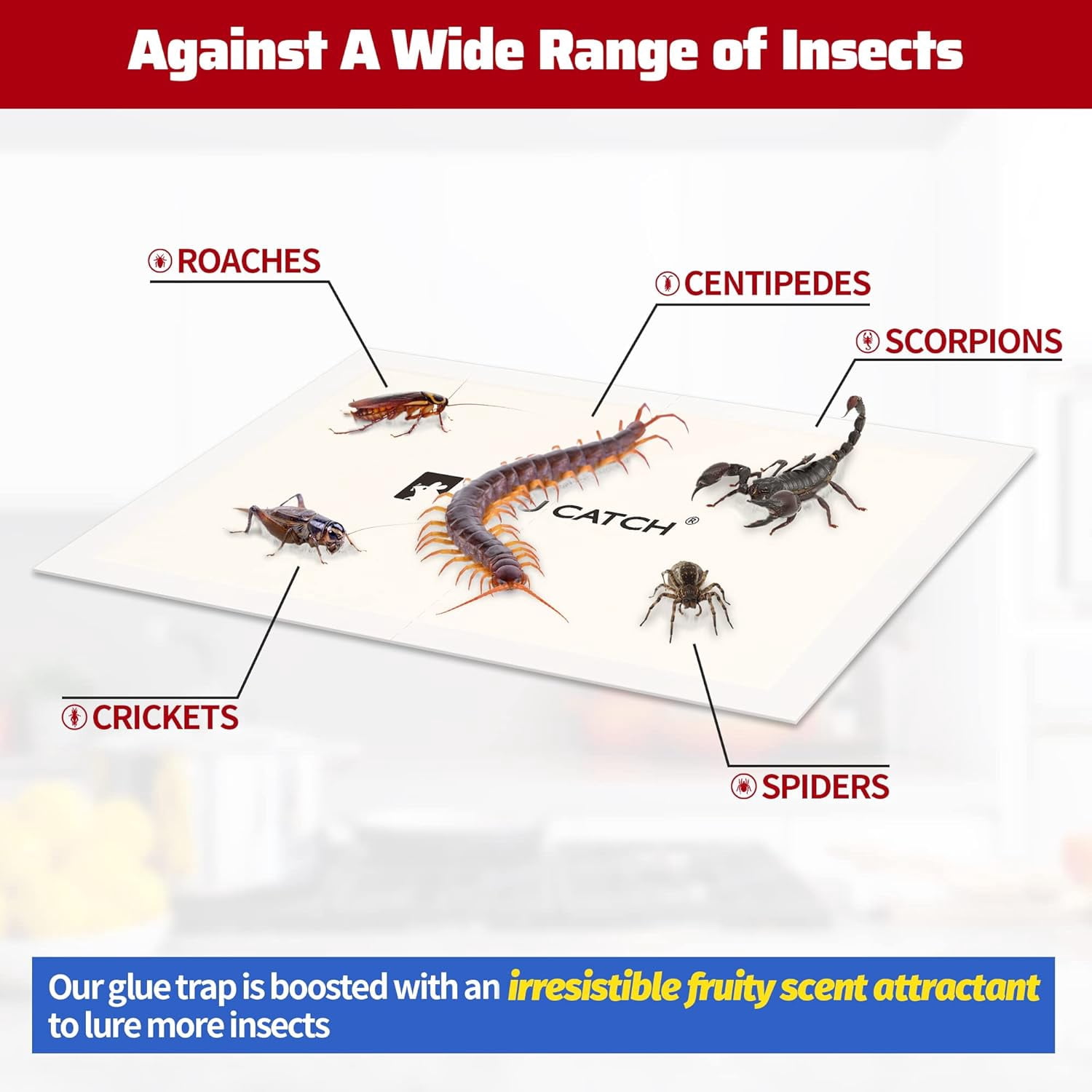 Cricket & Insect Glue Traps 24 Pack, Adhesive Bug Catcher, Pre-Baited Spider Scorpion Trap, Non-Toxic Boards Indoor for Home Catching Bugs, Mice Rodents, Pet Safe Pest Control