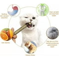 thumbnail image 4 of 3Pcs Cat Toys Natural Silvervine Sticks, Silvervine Blend Sticks, Catnip Cat Chew Toys for Kittens Teeth Cleaning Aggressive Chewers Cat Dental Toy, 4 of 6