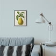 thumbnail image 2 of Stupell Industries Vintage Fruit Pear Painting Framed Giclee Texturized Art by Vision Studio, 2 of 8