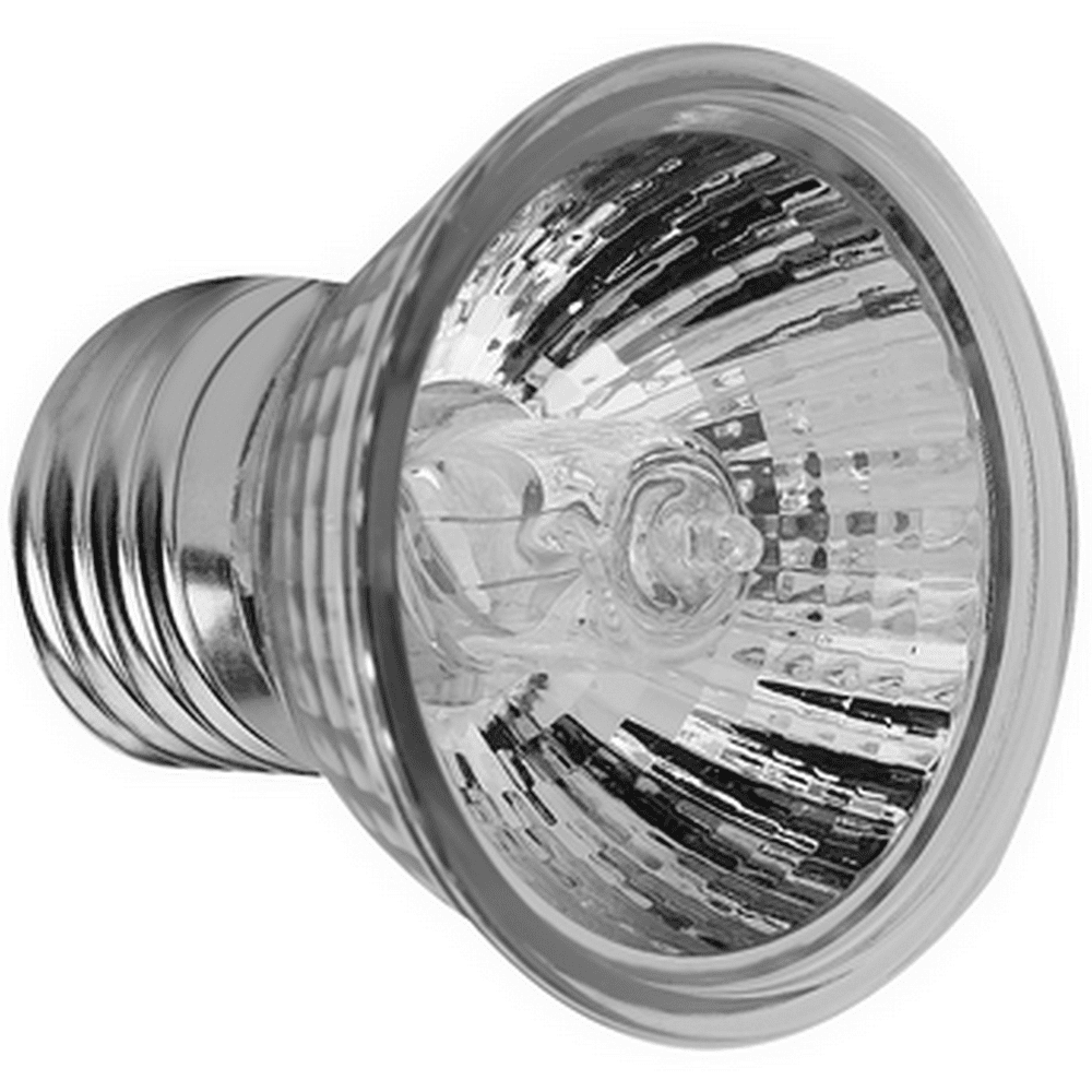 25/50/75 W UVA+UVB Heat Emitter Lamp Bulb Light Heater+Holder for Pet R TMC 