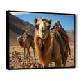 thumbnail image 2 of Designart "Desert Wanderer Camel II" Animals Floater Framed Canvas Art Print, 2 of 7