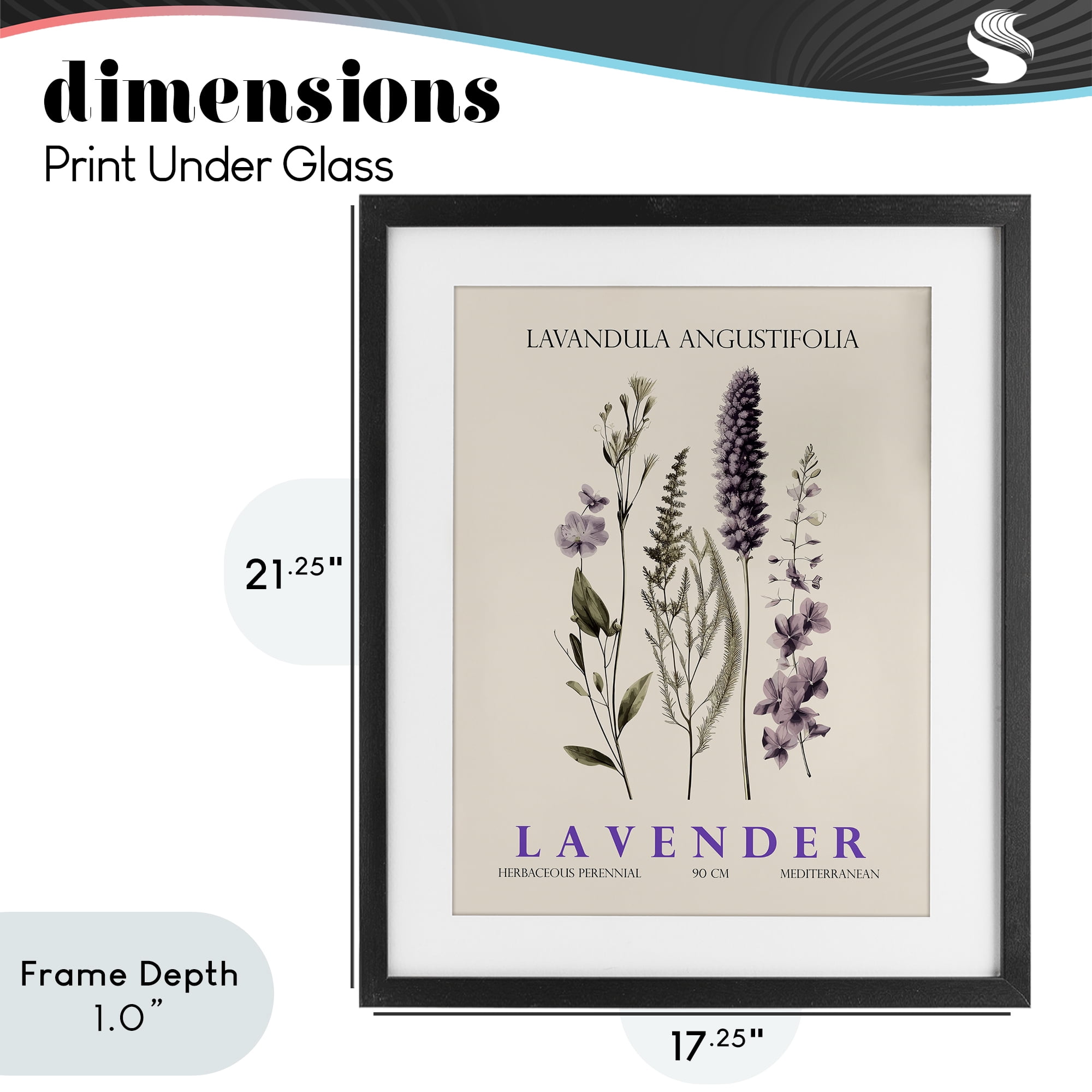 Stupell Industries Natural Lavender Bundle Black Framed Print Under Glass, design by Christopher Giampietro