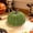 Green, variant on Fall Decor,Fall Decorations for Home,Velvet Pumpkins Decoration Artificial Fake Pumpkins,3IN Fabric Wrapped Pumpkin Ornaments for Home Kitchen Farmhouse(Green)
