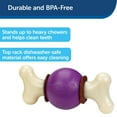 thumbnail image 3 of Toy PetSafe Busy Buddy Bouncy Bone para perros, color morado M/L, 3 of 6