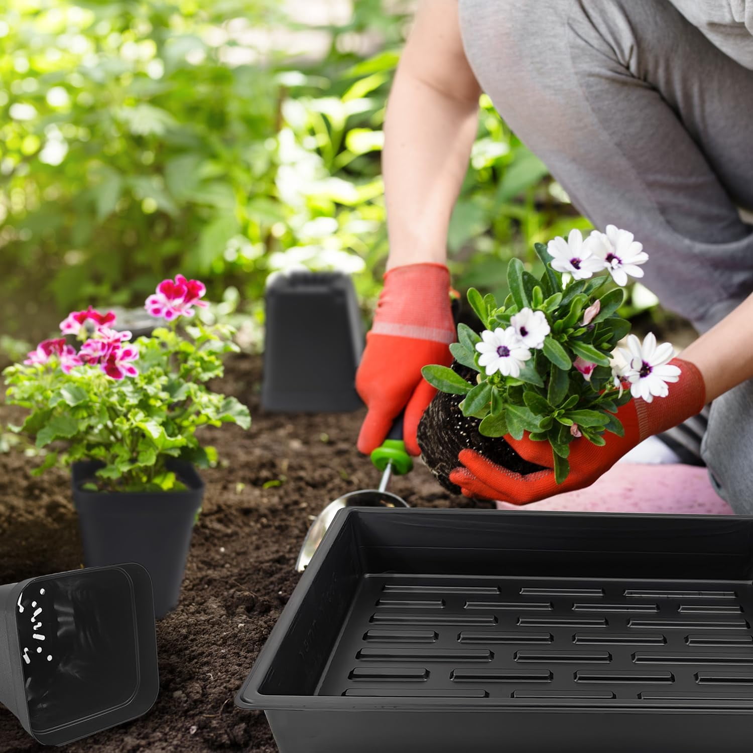 4 inch (10CM) Square Nursery Pots 60pcs, Sturdy Seedlings Trays 5 Pcs, Seeds Starter Germination Tray, Microgreening Planter Nursery Propagation 5 Sets