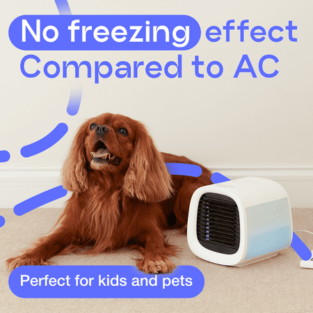 Evapolar - evaCHILL Personal Evaporative Air Cooler, White - White