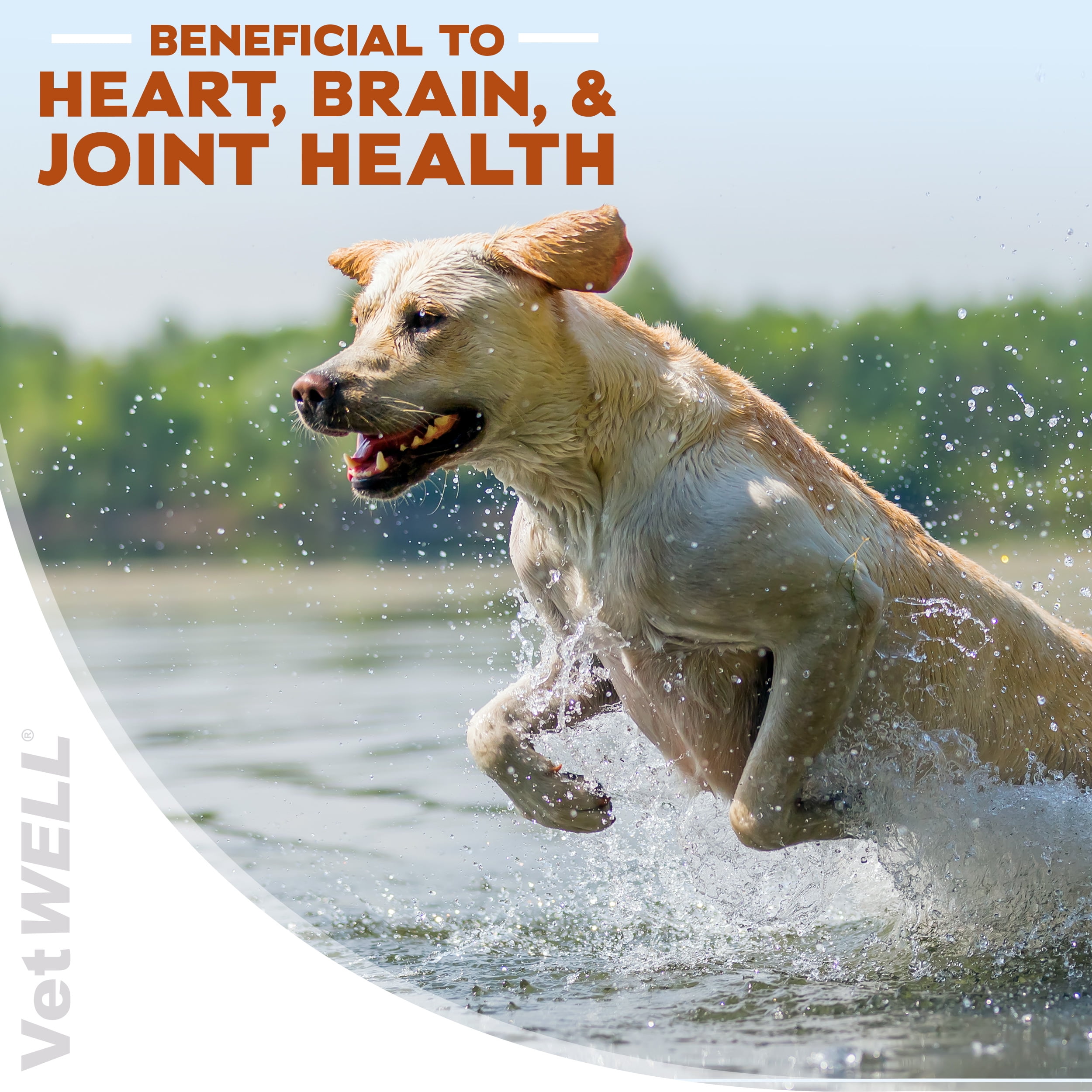 VetWELL Omega 3 Supplement for Dogs with Krill Oil and Astaxanthin, 60 Count
