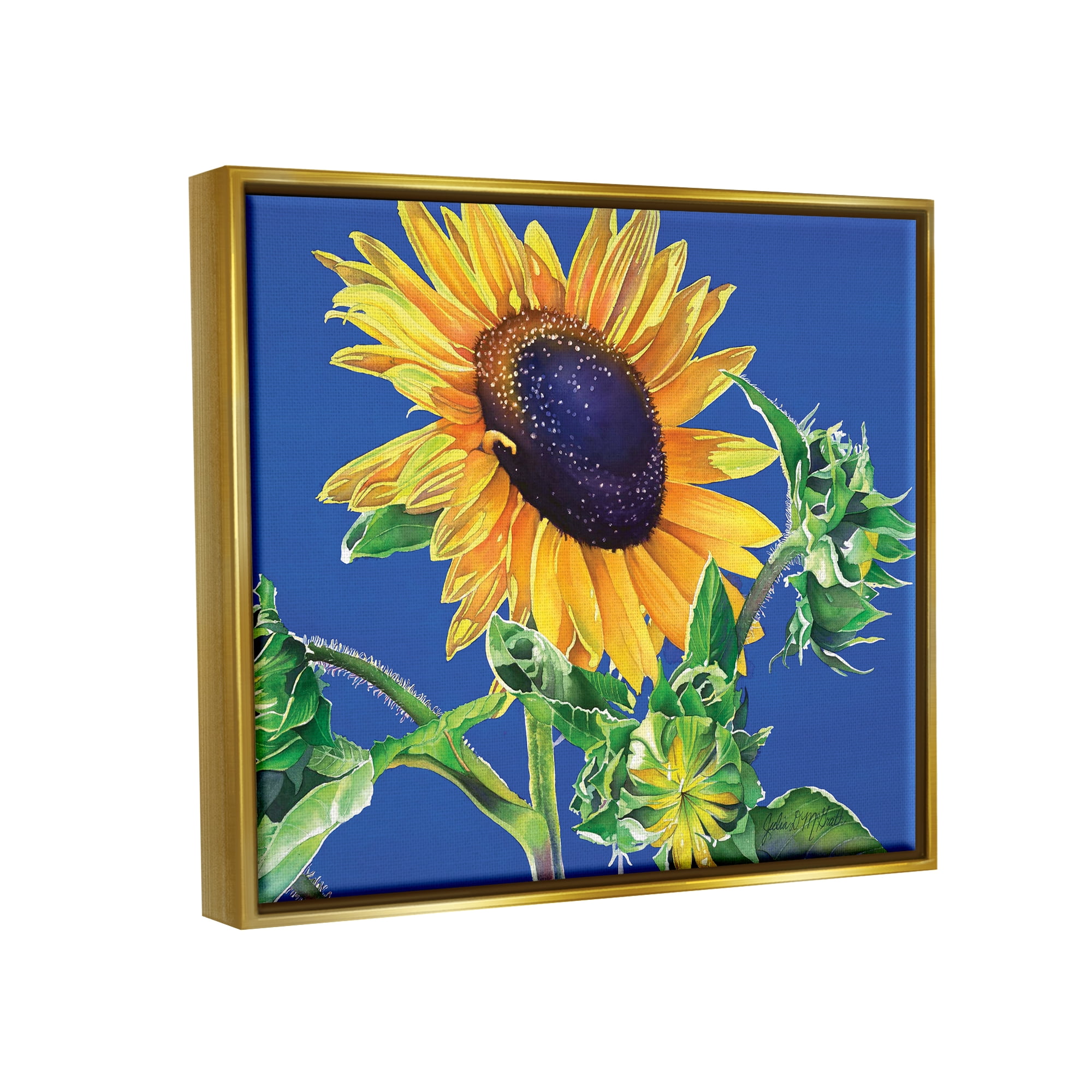 Stupell Industries Sunflower on Blue Botanical & Floral Photography Gold Floater Framed Art Print Wall Art, 21 x 17