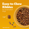 thumbnail image 4 of Pedigree Tender Bites Small Breed Chicken & Steak Flavour Dry Dog Food 2kg, 4 of 12