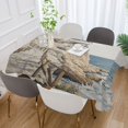 thumbnail image 5 of BZSMCE Square Tablecloth Natural Rocky Coast Pattern Tableclothes, 5 of 9