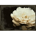 thumbnail image 2 of Navas, Emily 14x11 Black Ornate Wood Framed with Double Matting Museum Art Print Titled - Blooming Elegance, 2 of 4