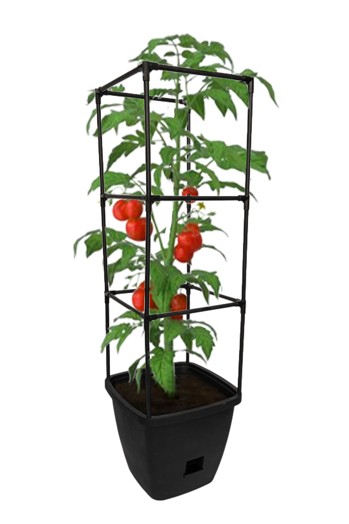 Harvest Bloom Garden Planter with Self-Watering System and Adjustable Trellis for Your Outdoor Balcony, Patio, or Backyard Garden by NuVue Products