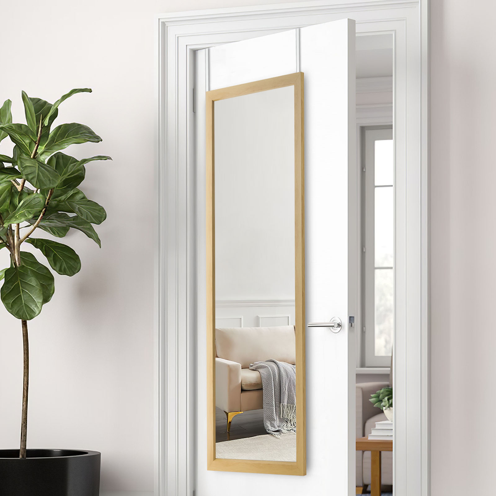 51"*16" Full Length Over The Door Mirror Hanging Mirror for Bedroom Dorm Room Black