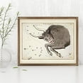 thumbnail image 2 of Antique Zodiac Taurus Constellation Plate - 11x14 Unframed Art Print - Great Home Decor or Gift to Astrology Enthusiasts, 2 of 6