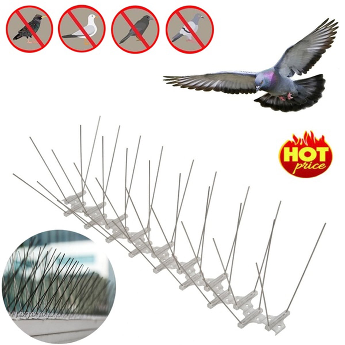 Stainless Steel Bird Repellent Spikes Anti Bird Pigeon Owl Spike Pest ...