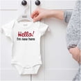 thumbnail image 5 of Hello New Here Sarcastic Funny Romper Boys or Girls Infant Baby Brisco Brands NB, 5 of 6