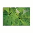 thumbnail image 2 of Gango Home Decor Chestnut Leaves Duet II Green by Vitaly Geyman (Printed on Paper); One 36x24in Fine Art Paper Giclee Print, 2 of 4