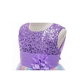 thumbnail image 4 of Toddler Kids Baby Girls Rainbow Mesh Tutu Princess Dresses Lace Flower Sleeveless Formal Party Evening Dress, 4 of 7